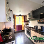 À vendre : appartement F3 traversant avec locataire - Saint-Étienne