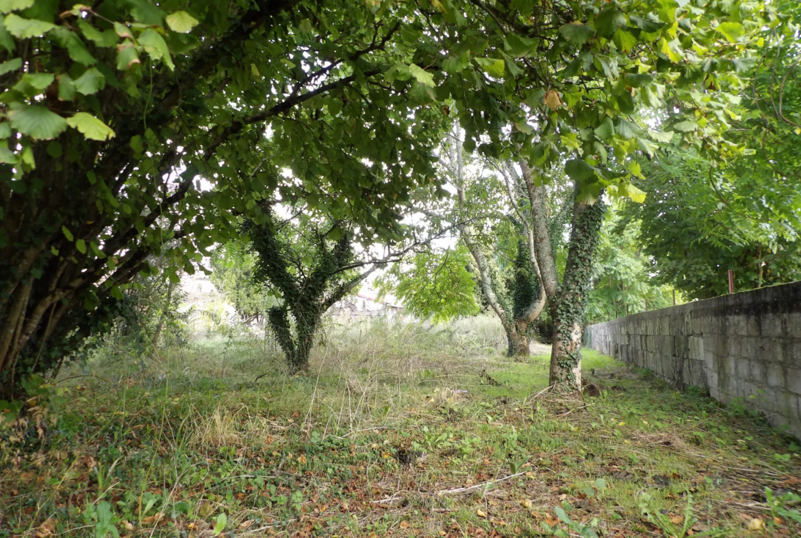 Maison authentique à rénover à Port d'Envaux avec jardin 