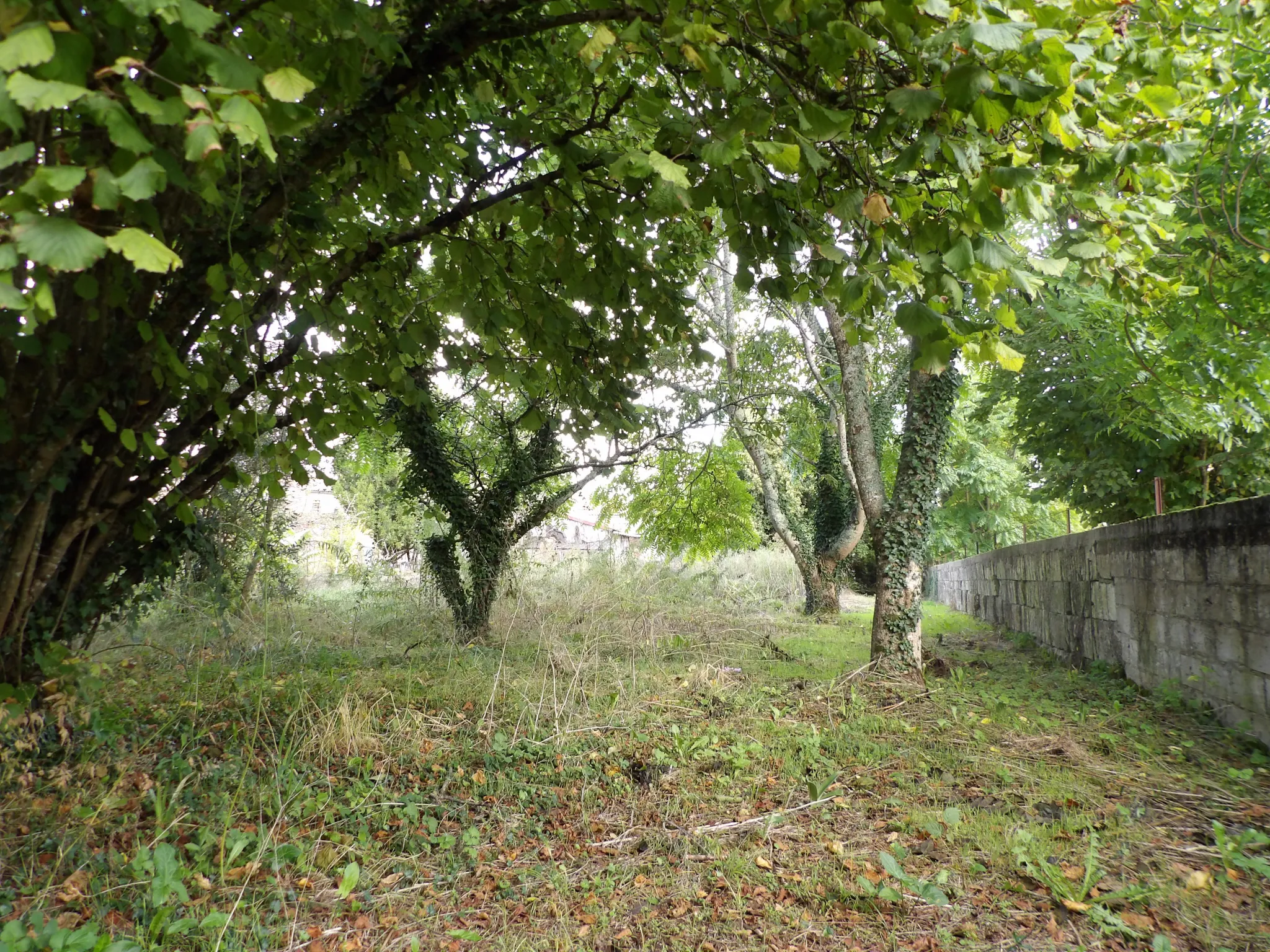 Maison authentique à rénover à Port d'Envaux avec jardin 