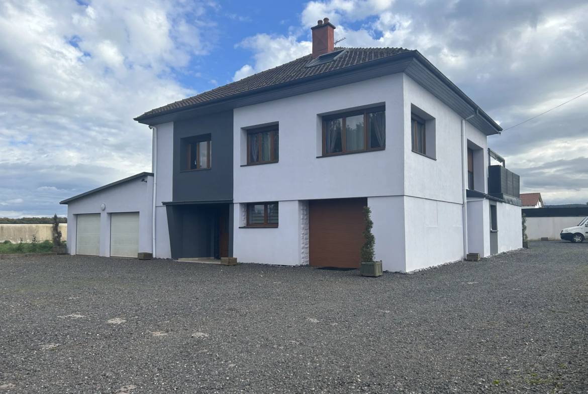 Villa rénovée de 1965 à Epinal - 2 appartements et jardin spacieux 