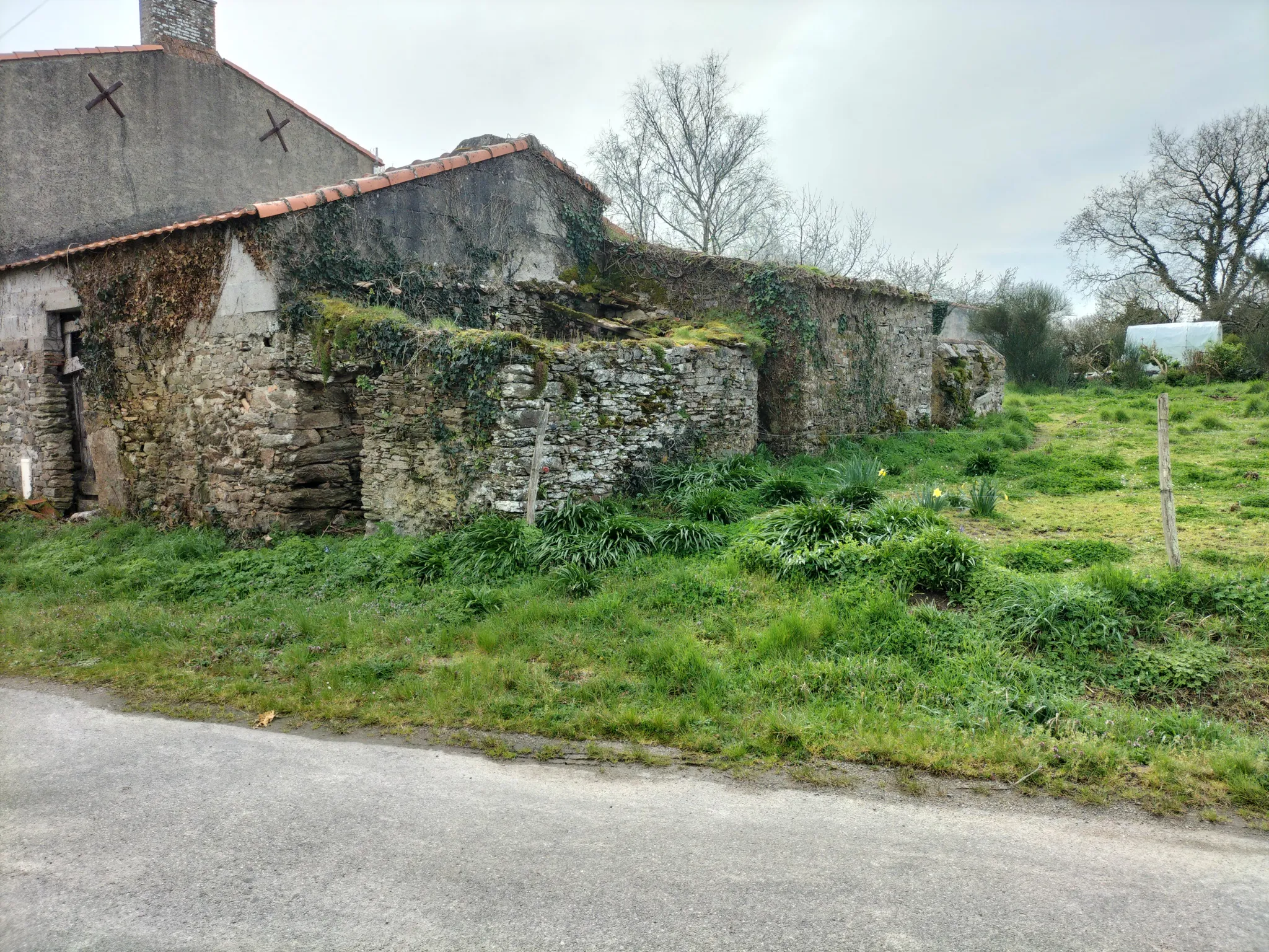 Terrain de 720 m² à Chauve avec ancien bâti à rénover 