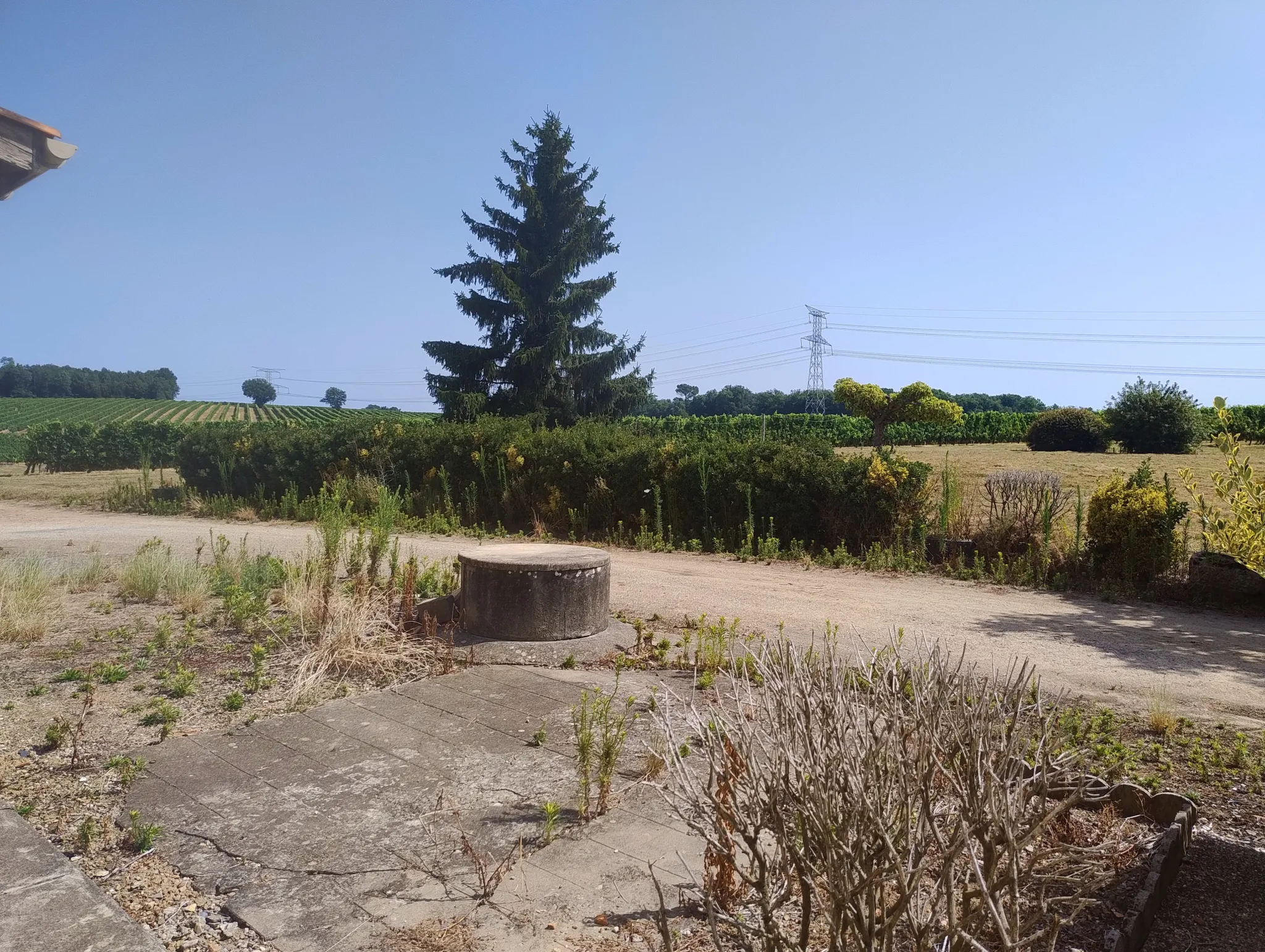 Vente d'une Ancienne Ferme Viticole à Caplong 