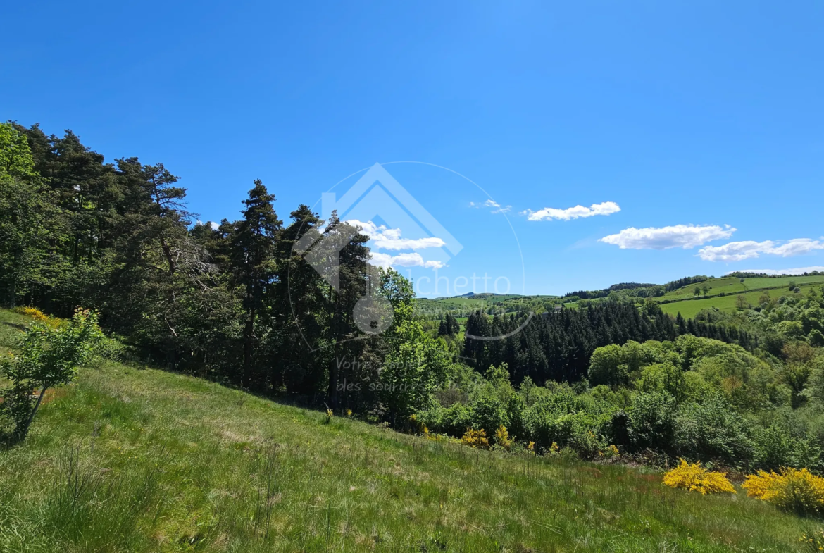 Maison atypique 6 pièces à Le Mayet de Montagne avec jardin paisible de 5100 m² 