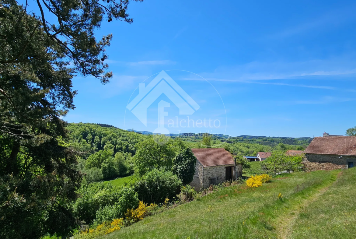 Maison atypique 6 pièces à Le Mayet de Montagne avec jardin paisible de 5100 m² 