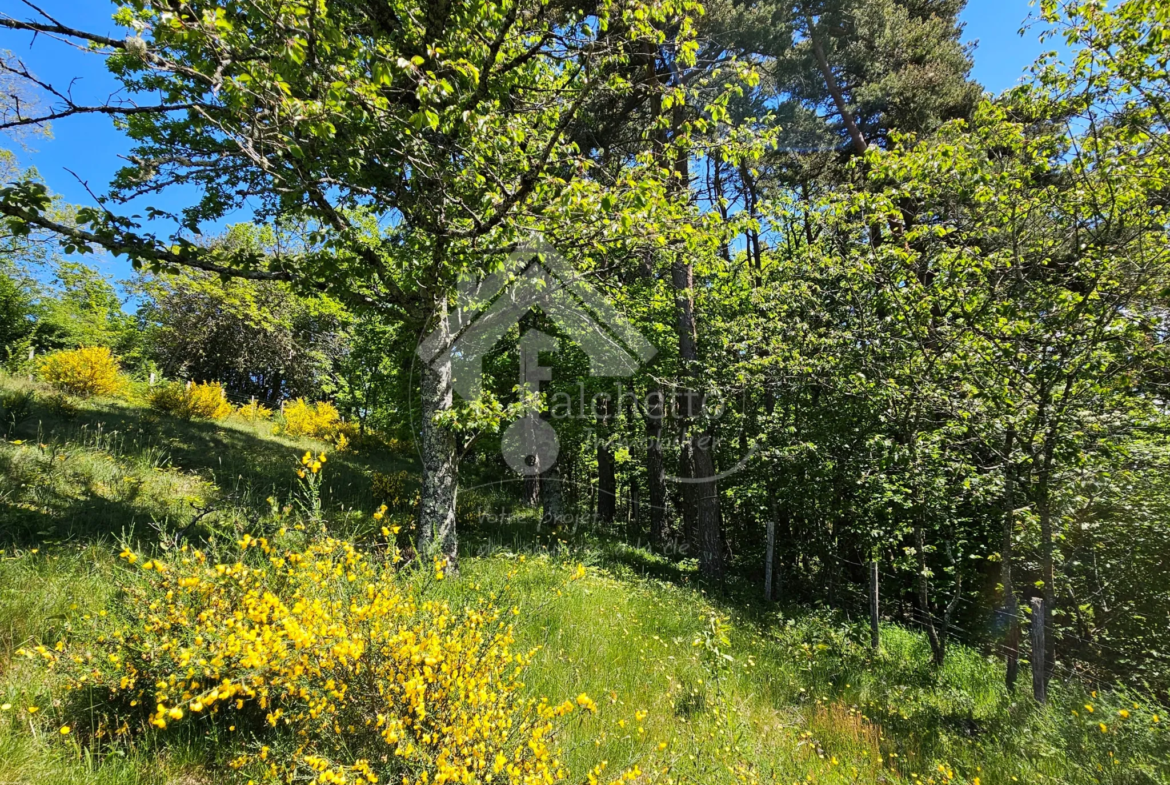 Maison atypique 6 pièces à Le Mayet de Montagne avec jardin paisible de 5100 m² 