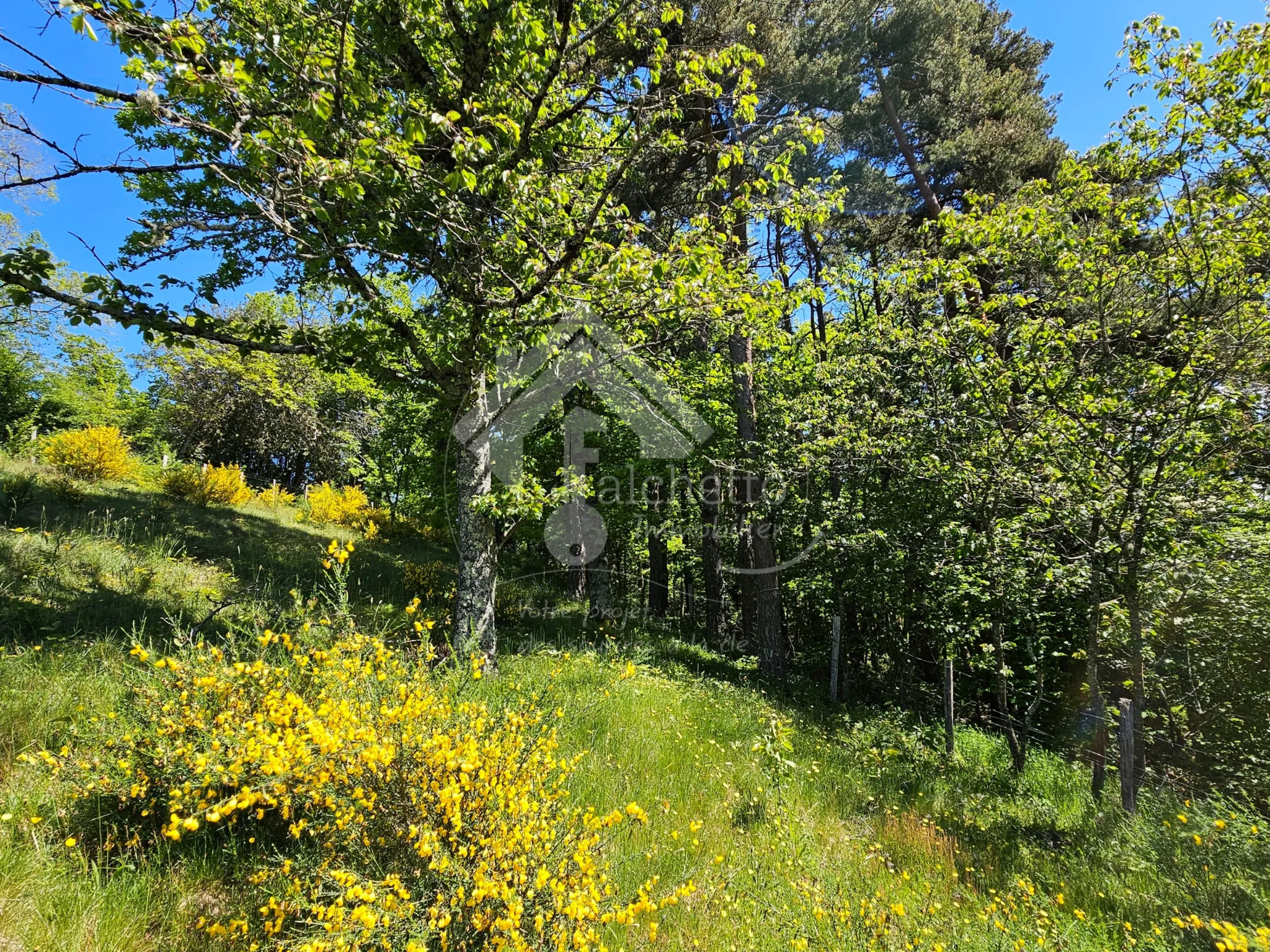 Maison atypique 6 pièces à Le Mayet de Montagne avec jardin paisible de 5100 m² 