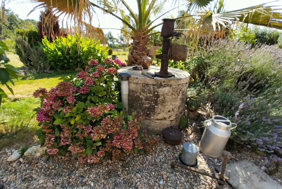 Maison en Pierre à Razac sur L'Isle avec Piscine et 2 Hectares de Terrain 