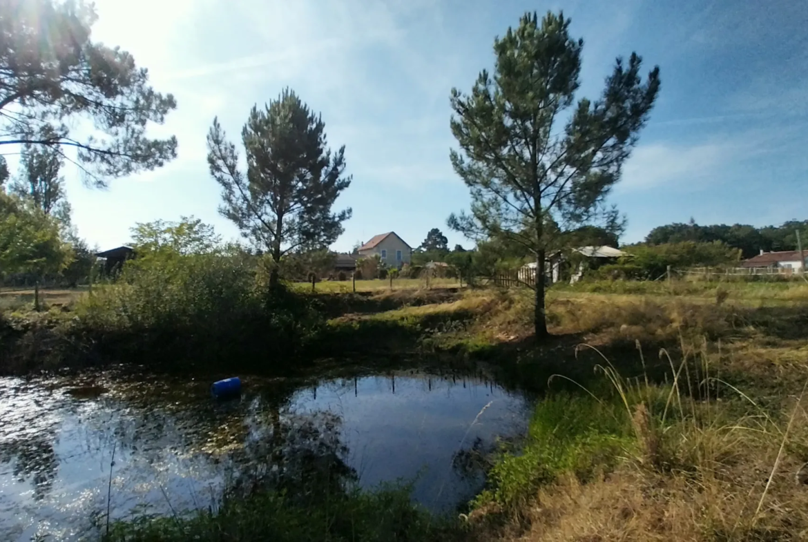 Maison en Pierre à Razac sur L'Isle avec Piscine et 2 Hectares de Terrain 