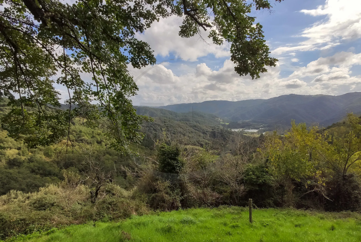 Maison de 72 m² habitables avec dépendances et 9 hectares de terrain à Saint-Fortunat-sur-Eyrieux 