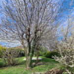 Terrain à bâtir de plus de 600 m² à Perignat sur Allier dans un secteur calme