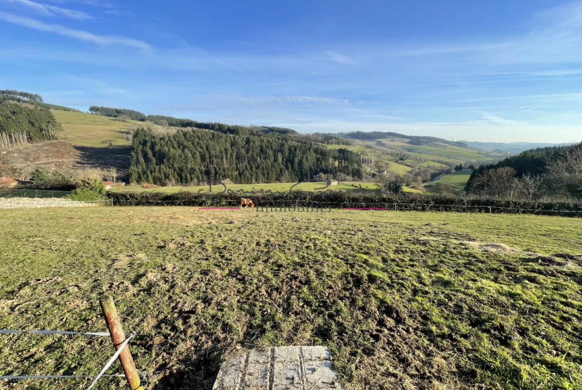 Corps de ferme rénové avec vue dégagée sur la campagne à Cublize 