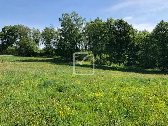 Cottage anglais avec terrain pour chevaux à St Pierre de Frugie 