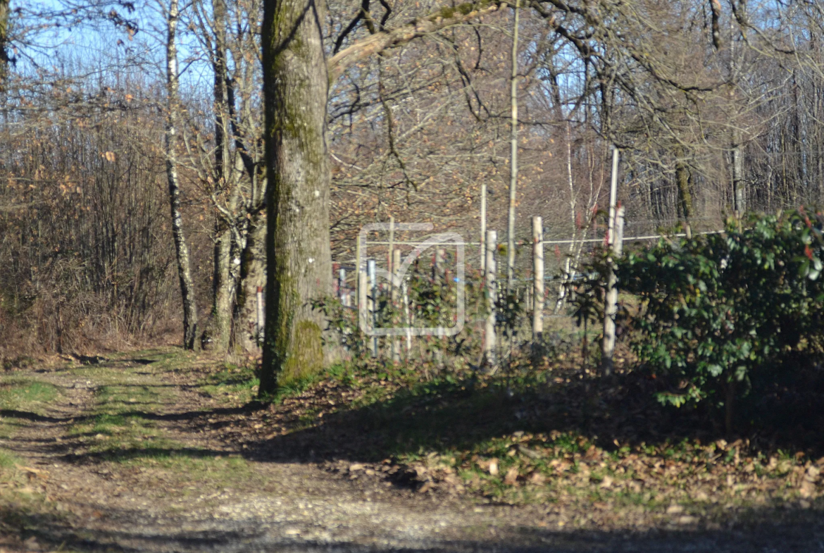 Cottage anglais avec terrain pour chevaux à St Pierre de Frugie 