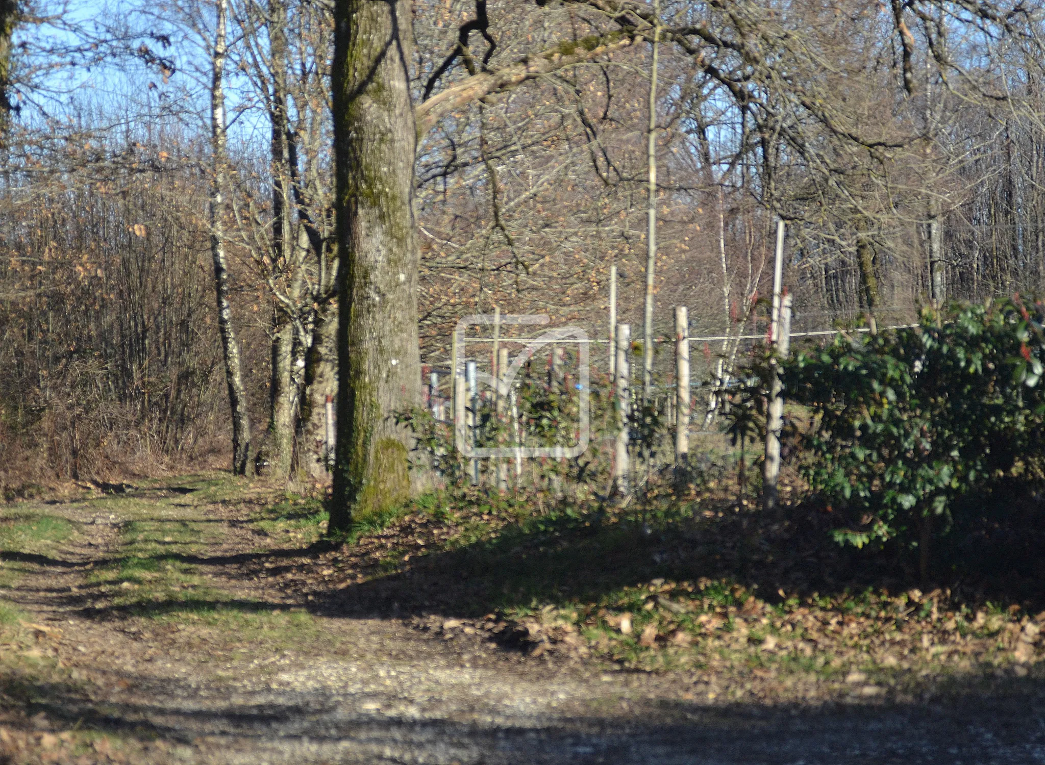 Cottage anglais avec terrain pour chevaux à St Pierre de Frugie 