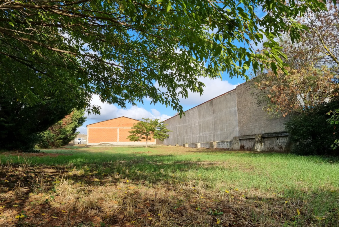 Terrain constructible de 1443 m² à vendre à Ventenac-en-Minervois 