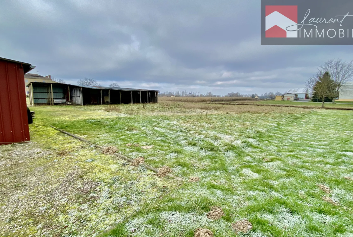 Maison spacieuse à Montpont-En-Bresse avec terrain de 6837 m² 