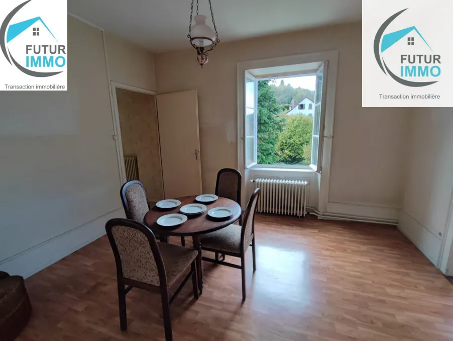 À vendre : Maison bourgeoise à Herimoncourt - Deux appartements 