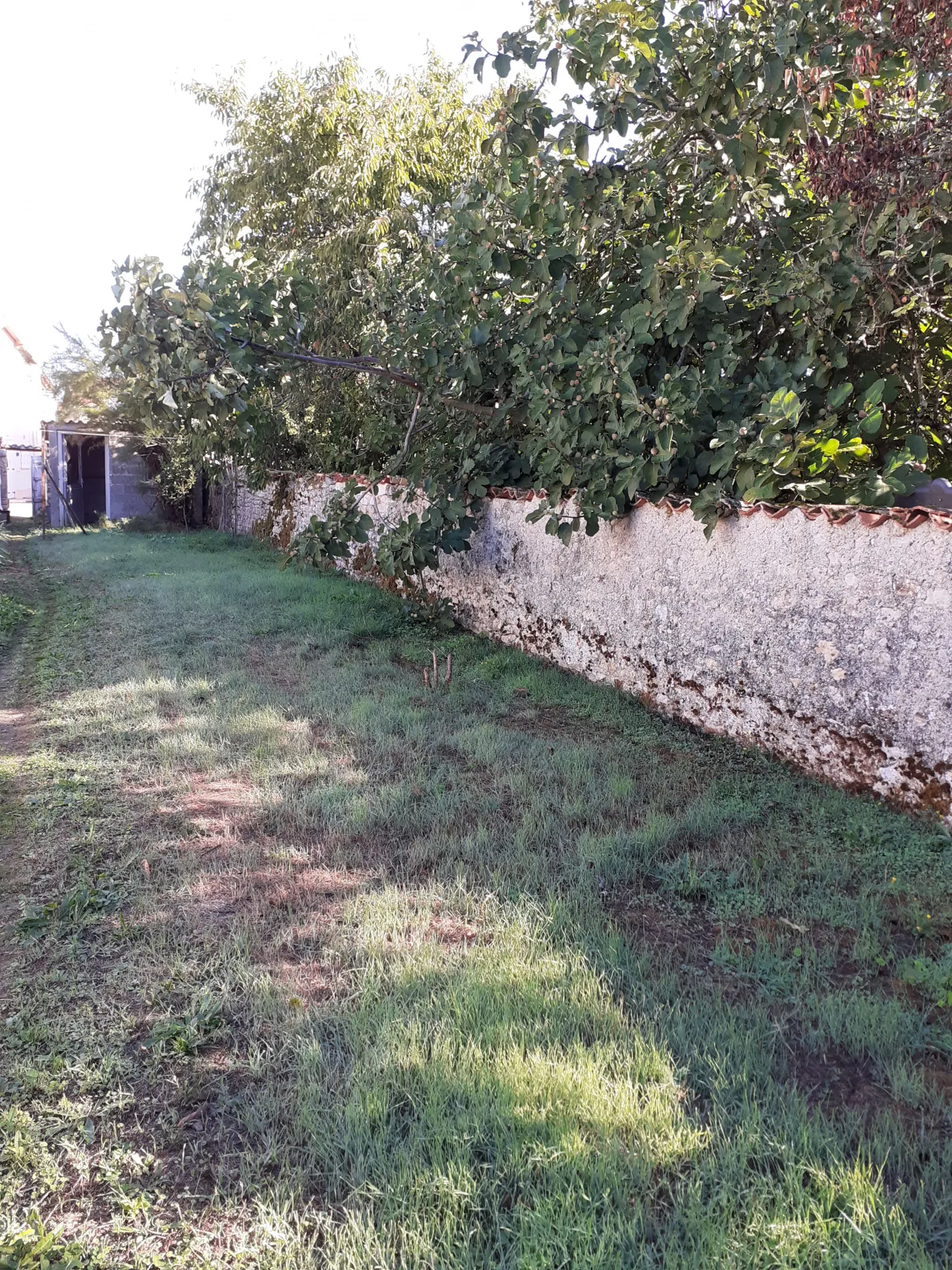 Maison ancienne à rénover à Loulay - 4 pièces 