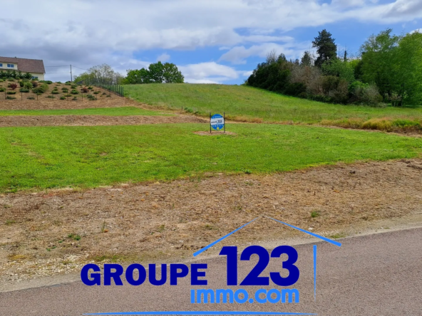 Terrain constructible 1745 m² à Guerchy à vendre