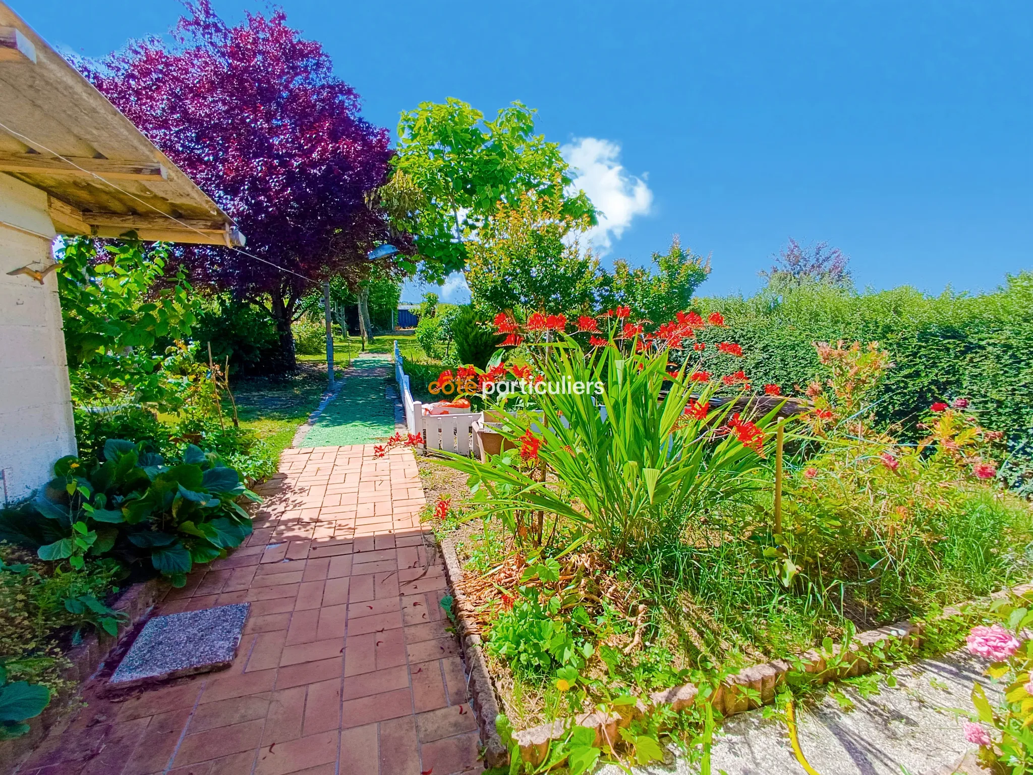 Maison avec Grand Jardin Divisible à Rochecorbon 