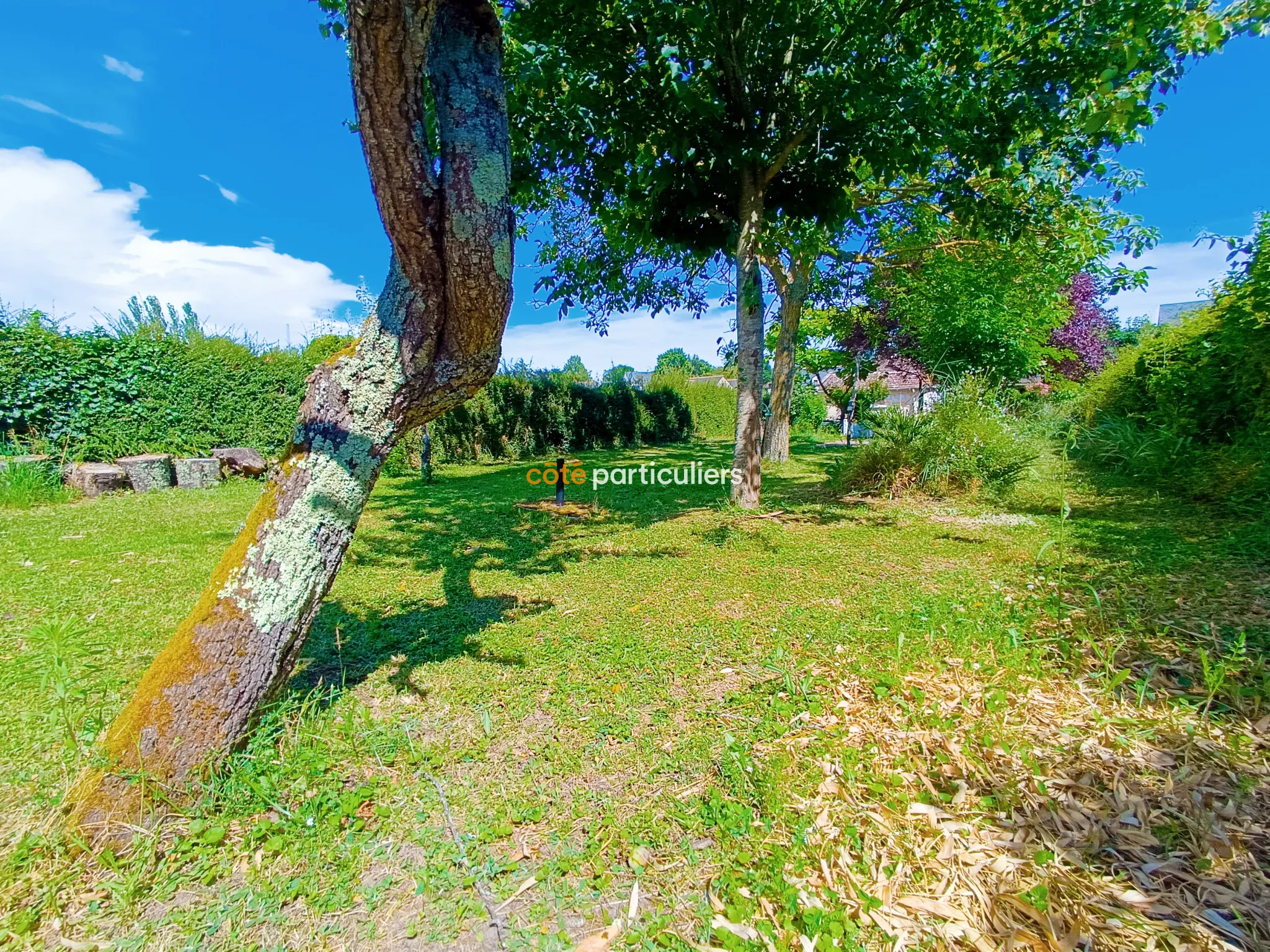 Maison avec Grand Jardin Divisible à Rochecorbon 