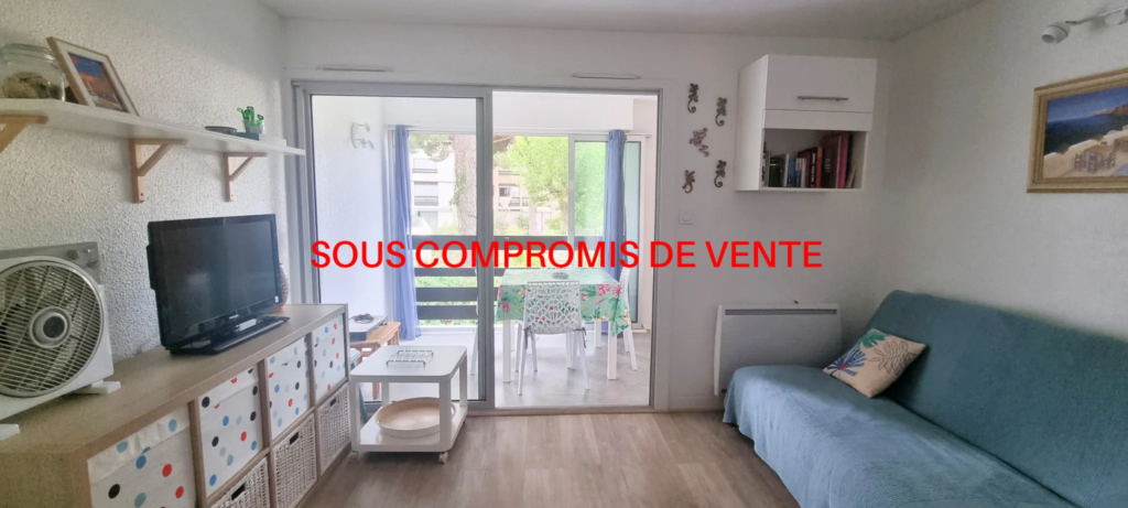 Appartement T2 à vendre au Grau d'Agde avec vue sur parc et piscine