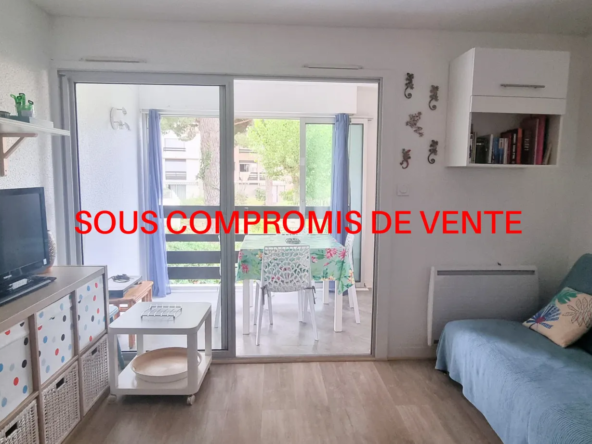 Appartement T2 à vendre au Grau d'Agde avec vue sur parc et piscine