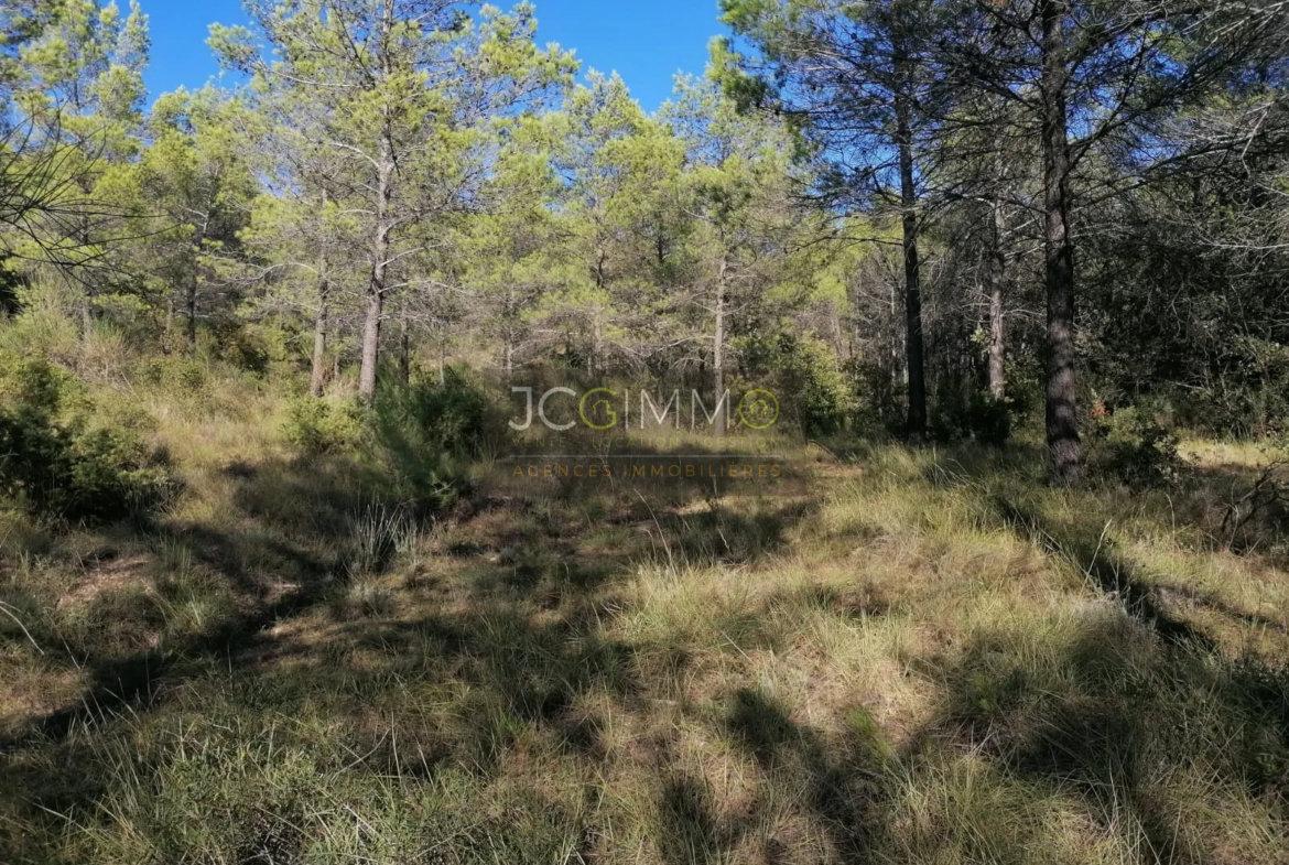 Terrain de 2400 m² en zone naturelle à Sainte-Anastasie-sur-Issole 