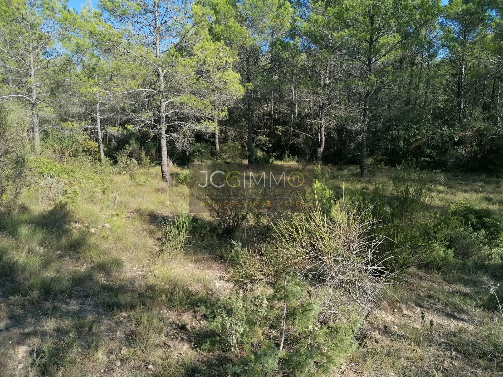 Terrain de 2400 m² en zone naturelle à Sainte-Anastasie-sur-Issole 