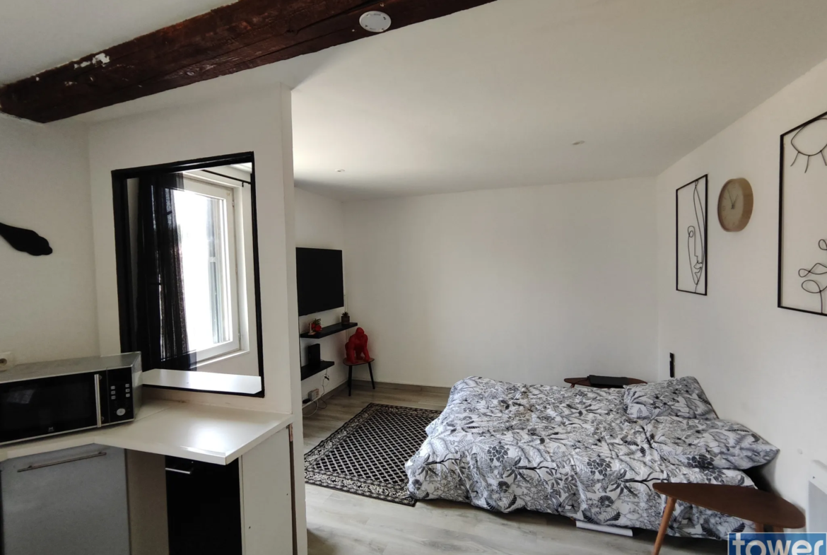 Appartement T2 Rénové de 50 m² à Narbonne 