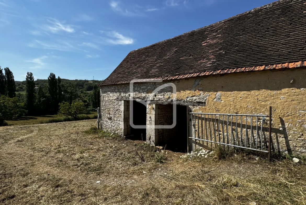 Grange en Pierres à Rénover sur Terrain de 1 Hectare à Saint Chamarand 