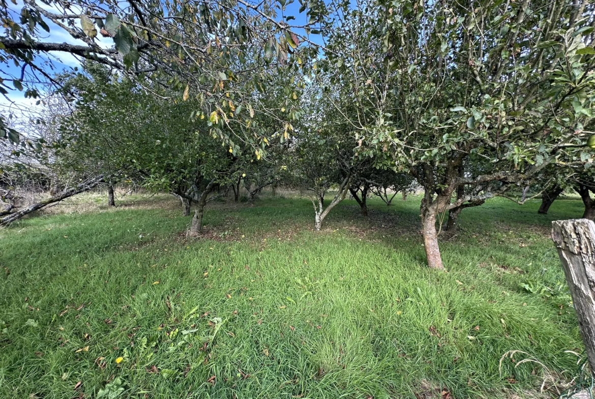 À vendre : Maison familiale à Baud avec grand terrain et nombreuses possibilités 