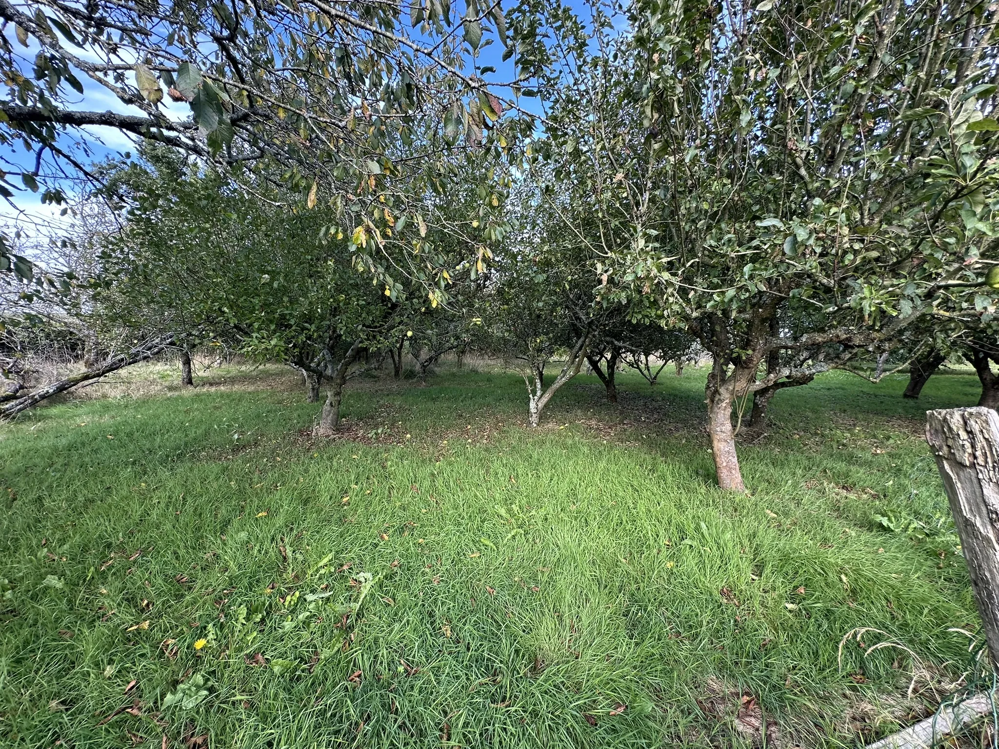 À vendre : Maison familiale à Baud avec grand terrain et nombreuses possibilités 