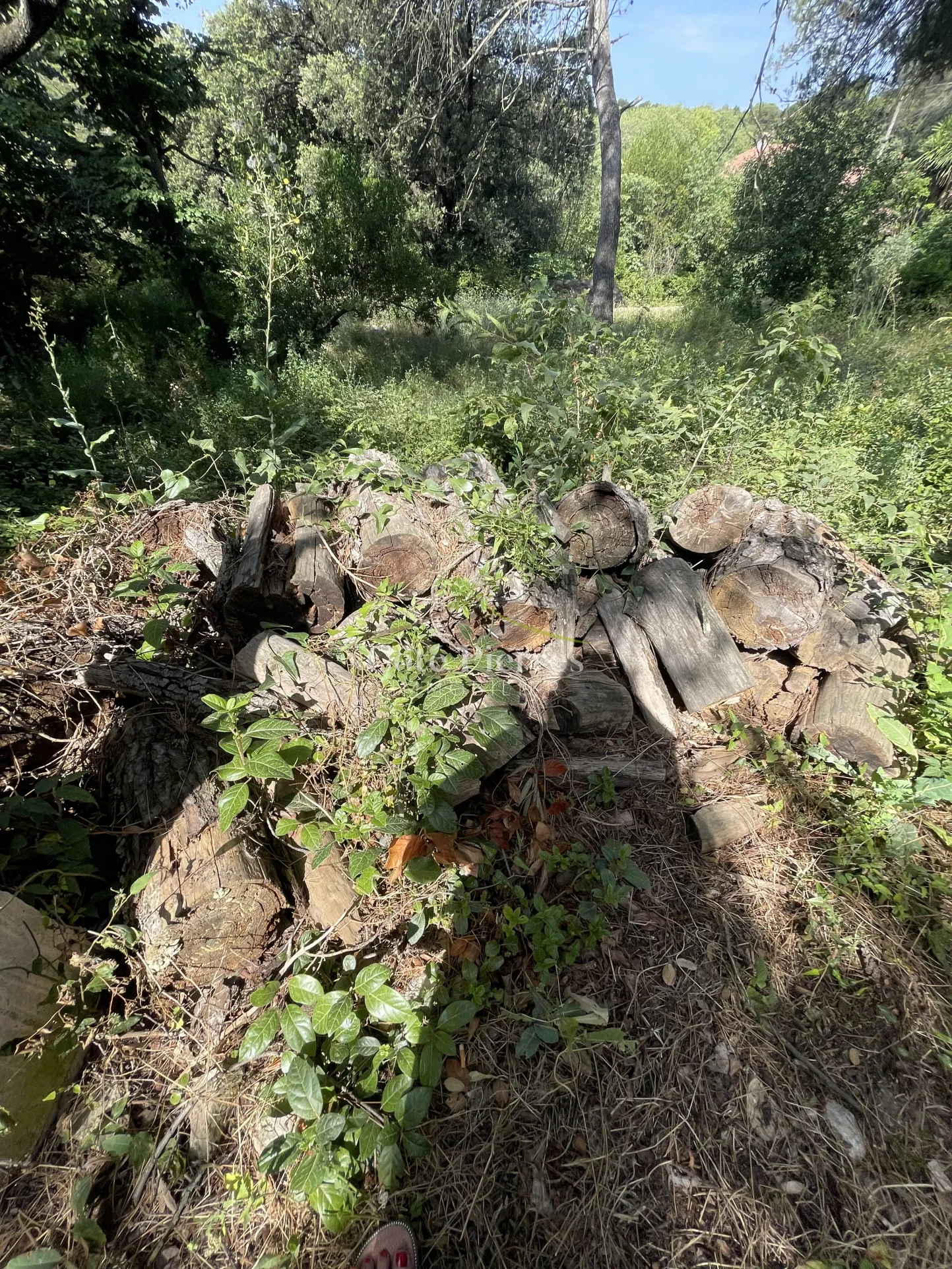 Terrain de loisir de 1004 m² à Nîmes - Quartier recherché 