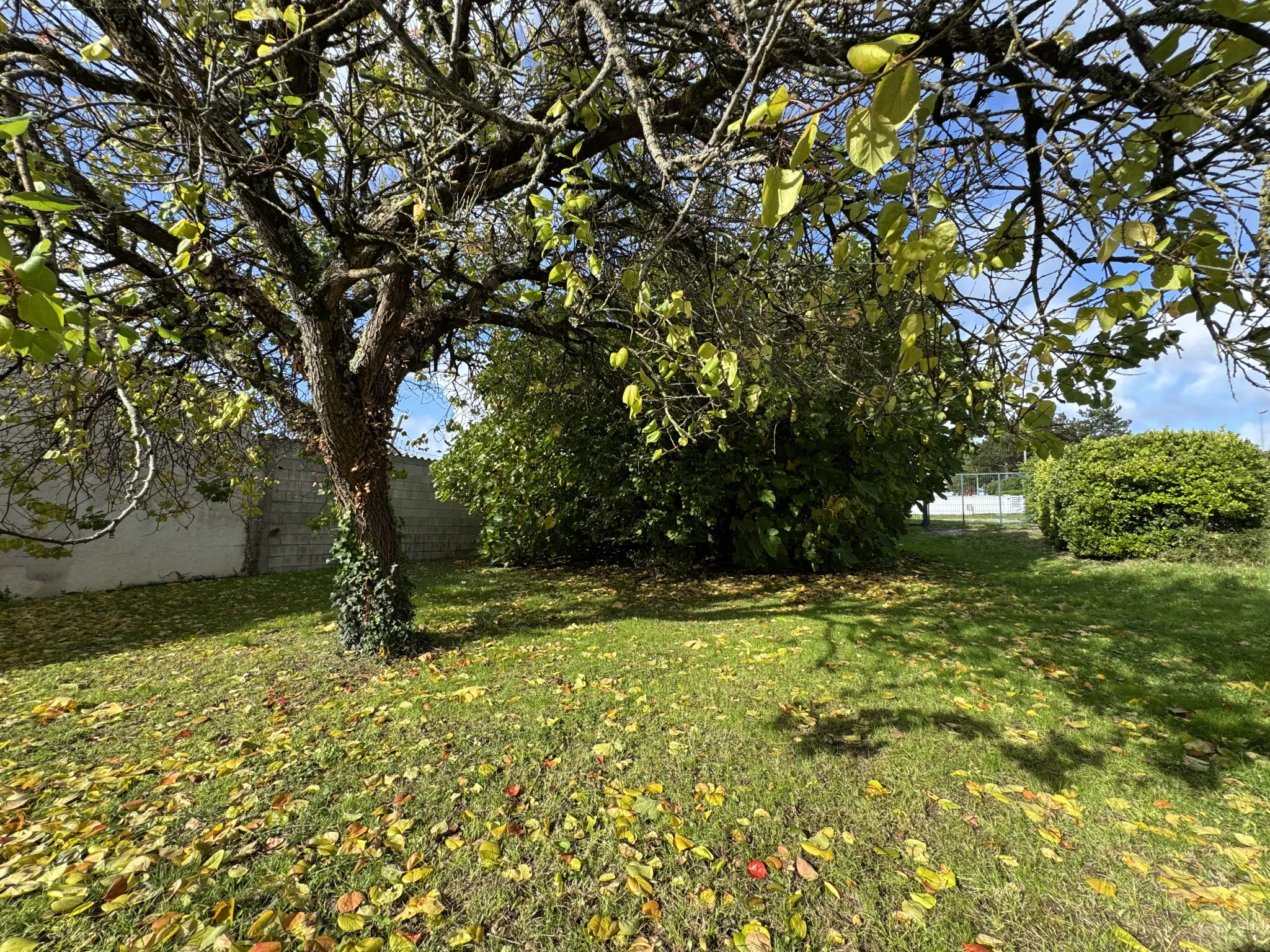 Maison à rénover à Meschers, Sud Royan 