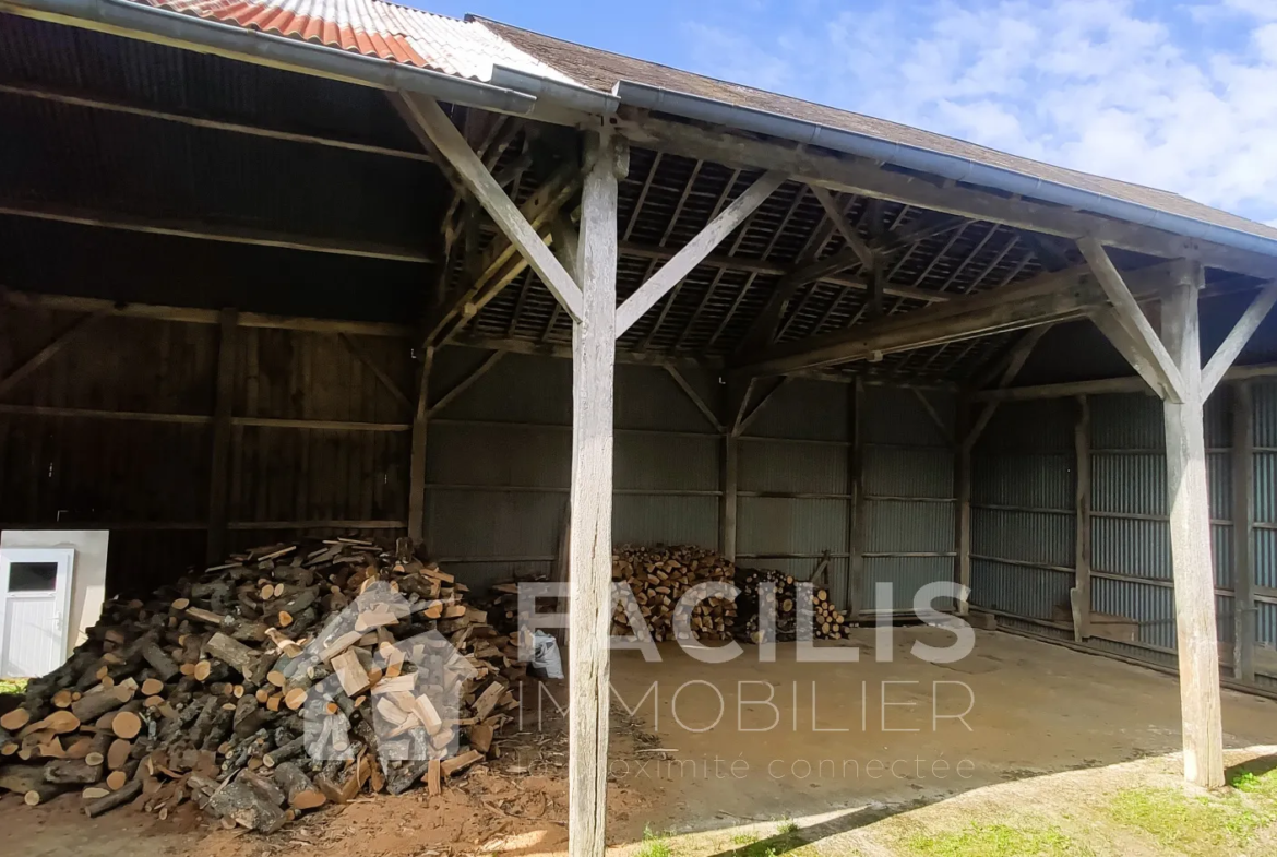 Charmante Maison à Palluau sur Indre à Vendre 