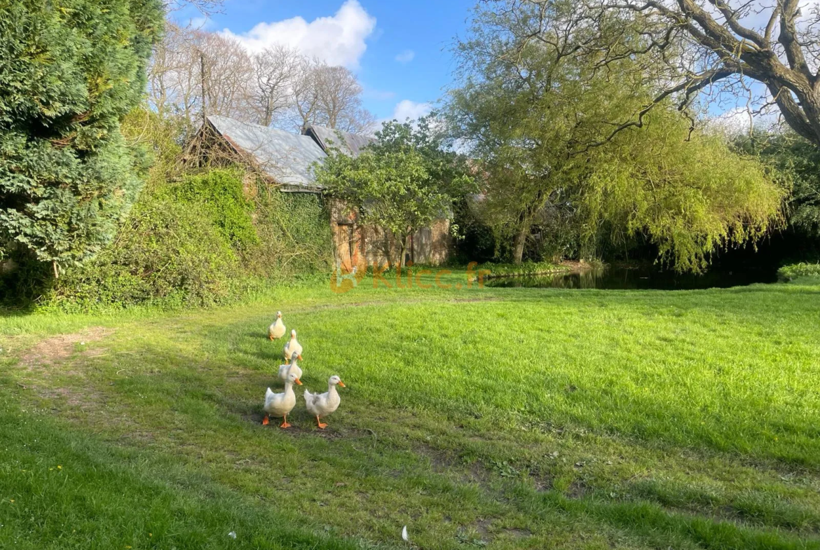 Vente maison en viager près de la mer en Normandie 