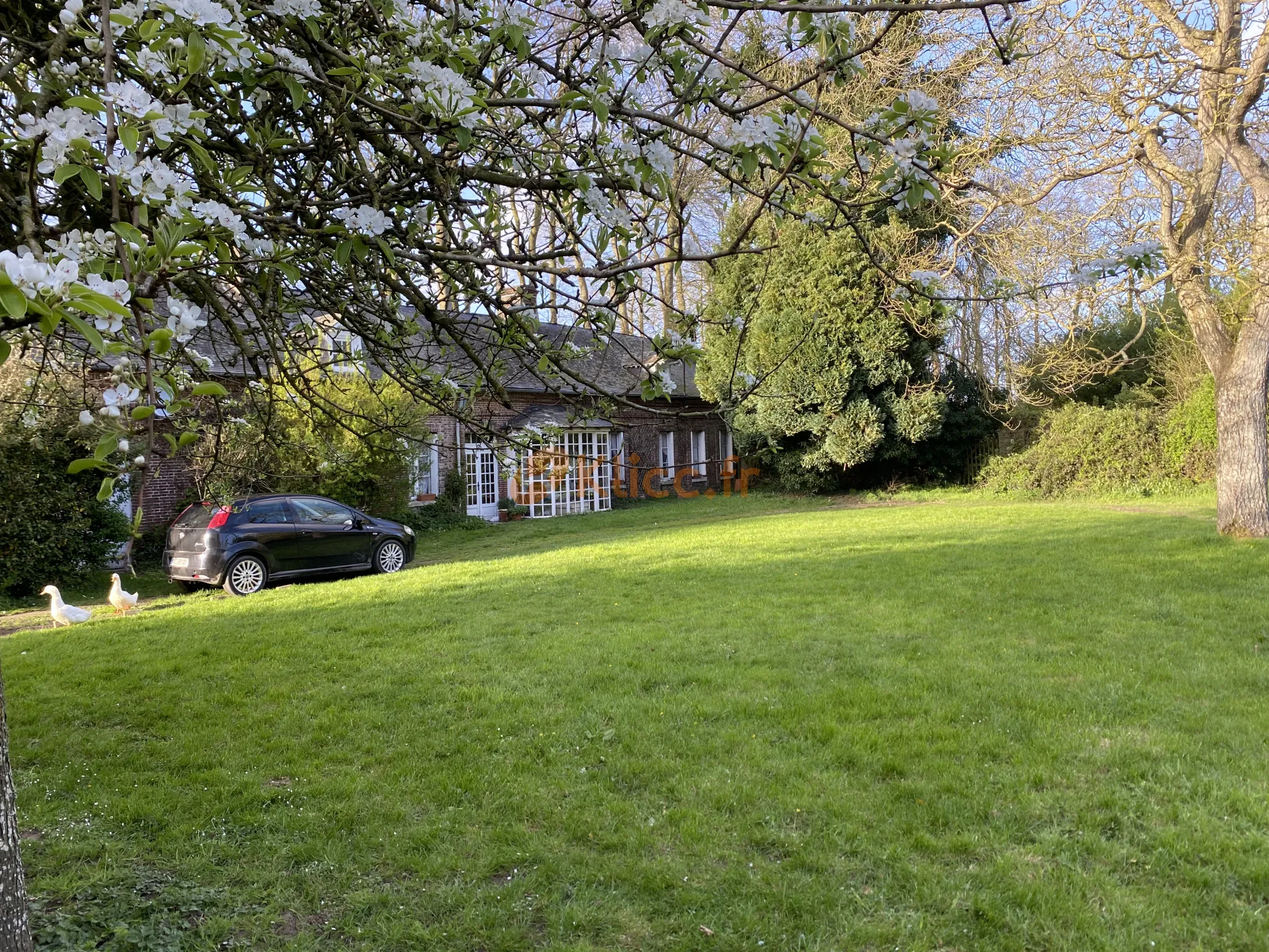 Vente maison en viager près de la mer en Normandie 