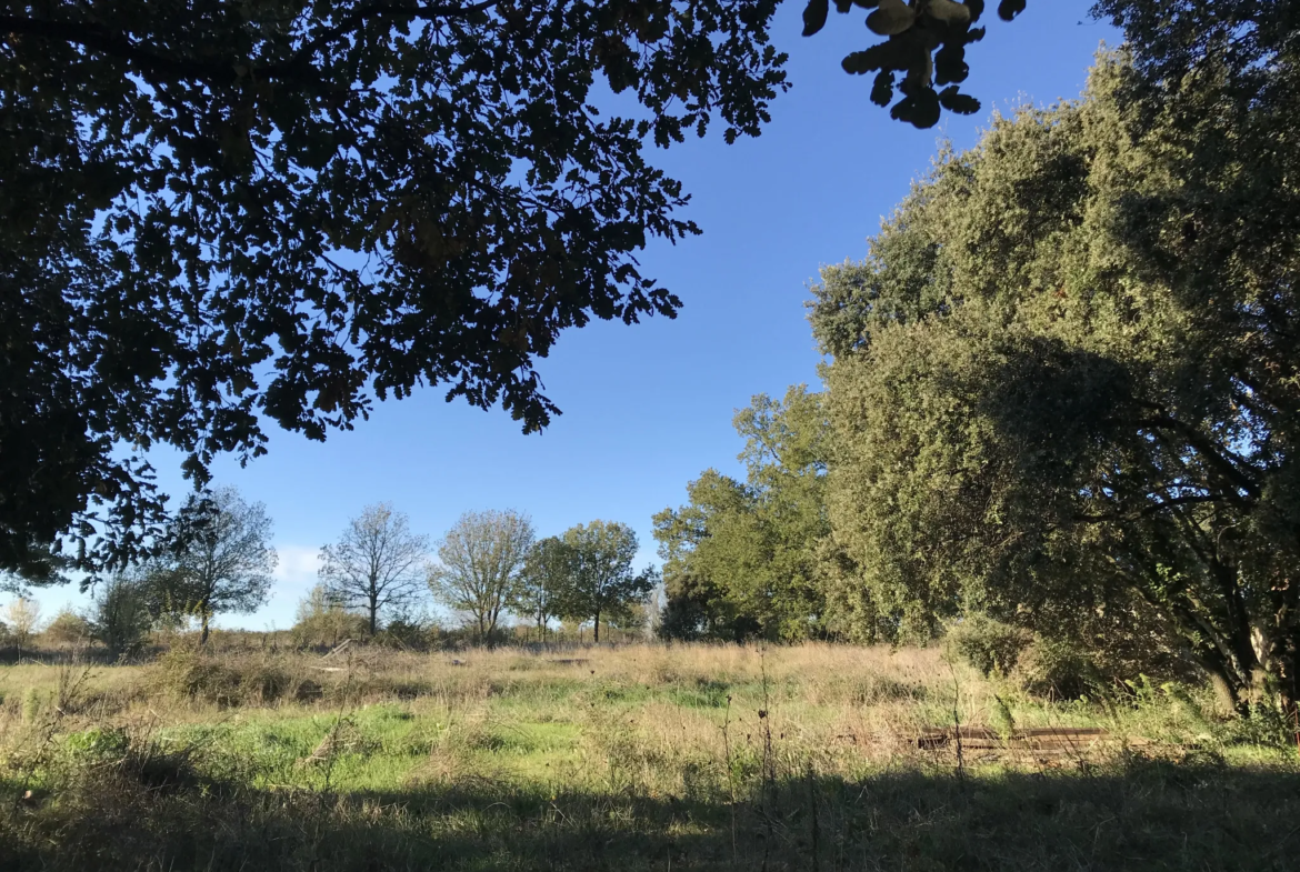 Terrain constructible à Saussines près de Montpellier 