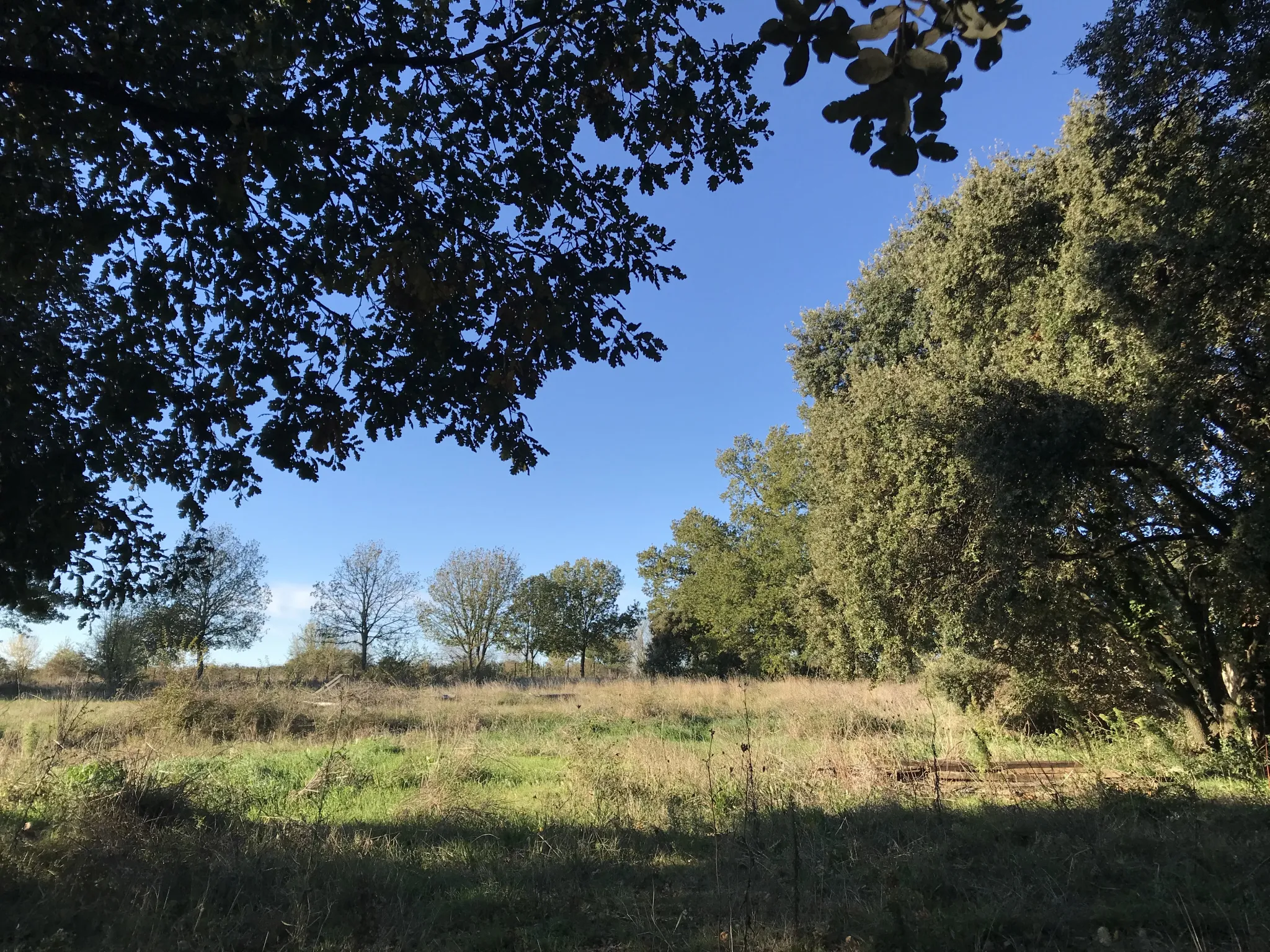 Terrain constructible à Saussines près de Montpellier 