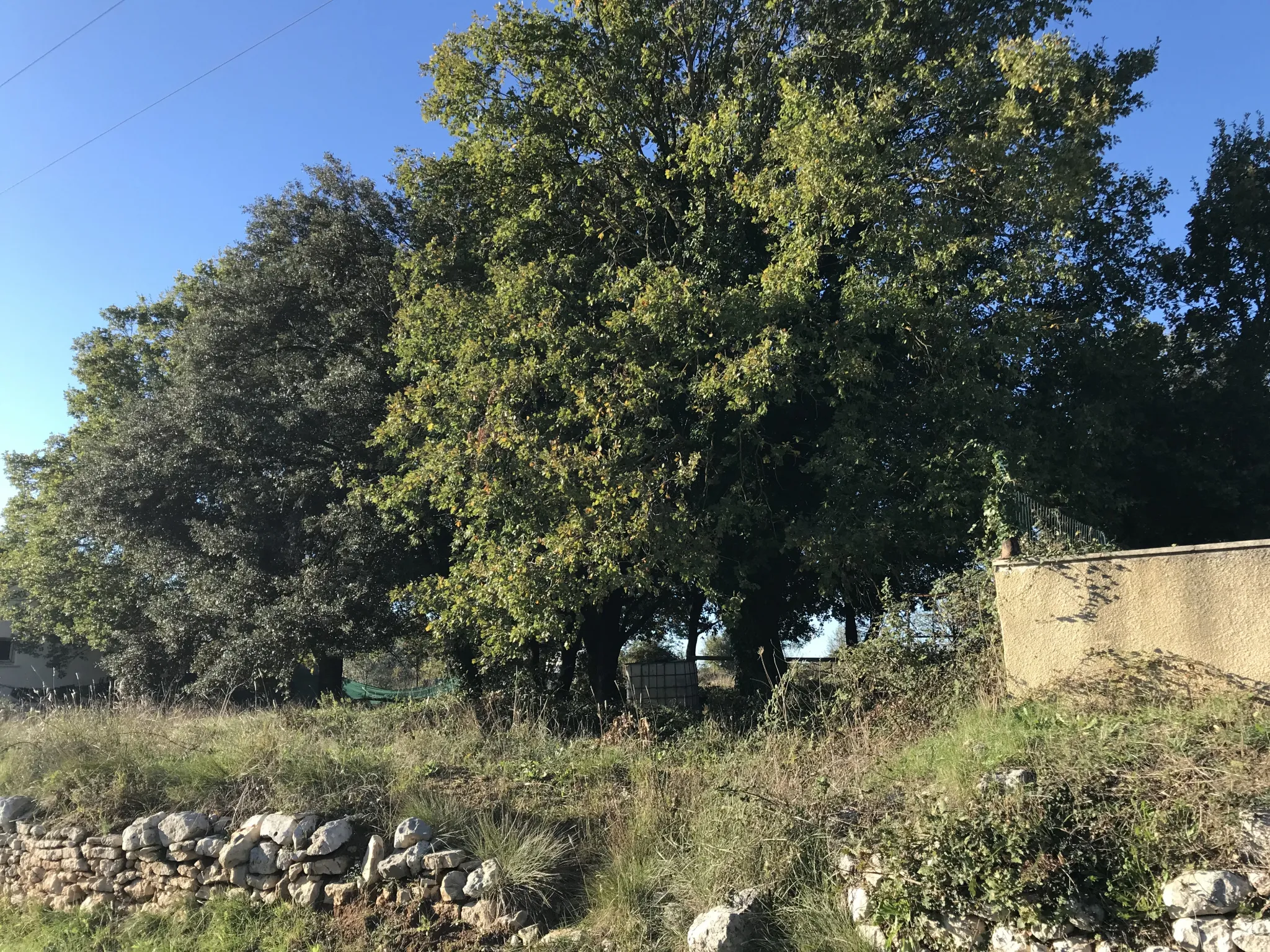 Terrain constructible à Saussines près de Montpellier 