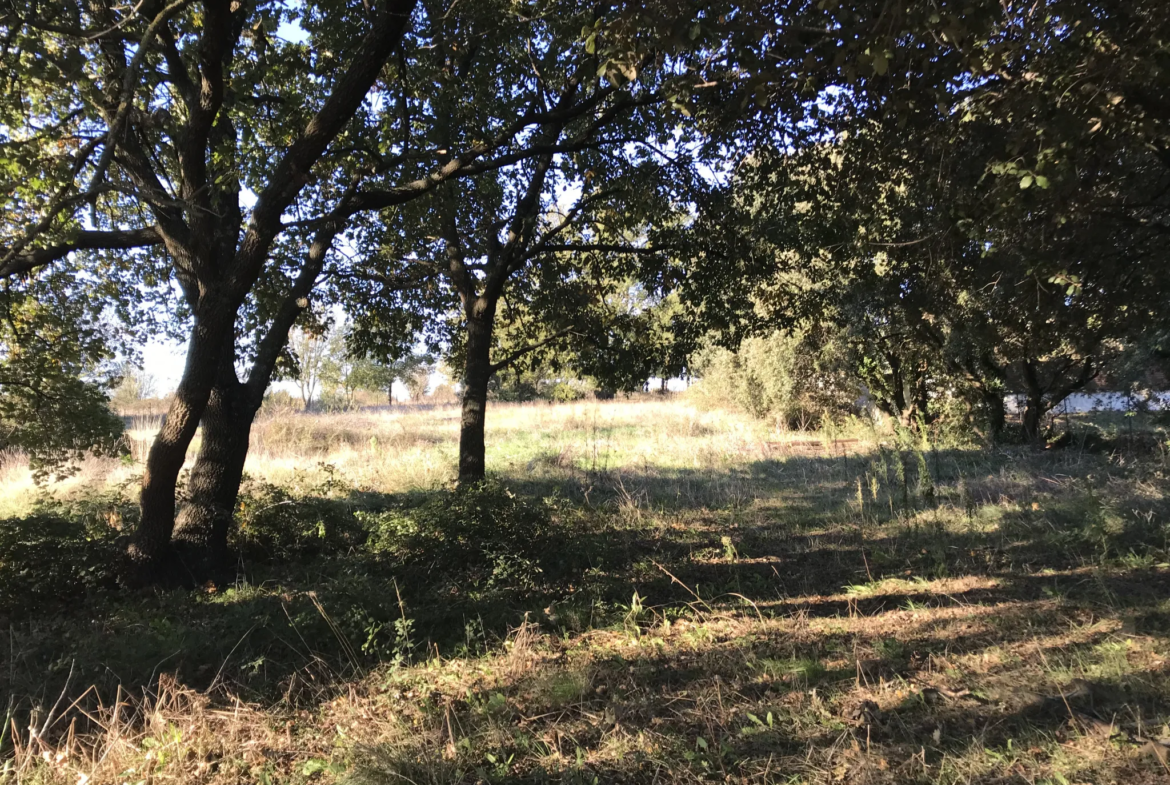 Terrain constructible à Saussines près de Montpellier 