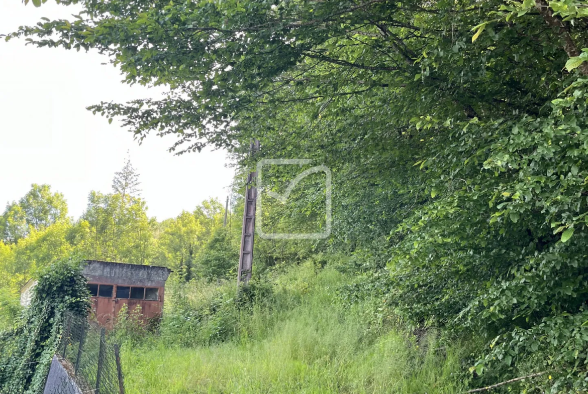 Vente de Bois à Objat - 1,3 hectare en Zone Naturelle 