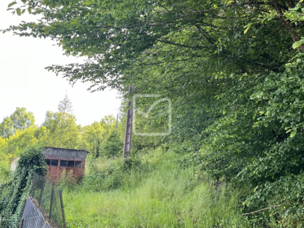 Vente de Bois à Objat - 1,3 hectare en Zone Naturelle