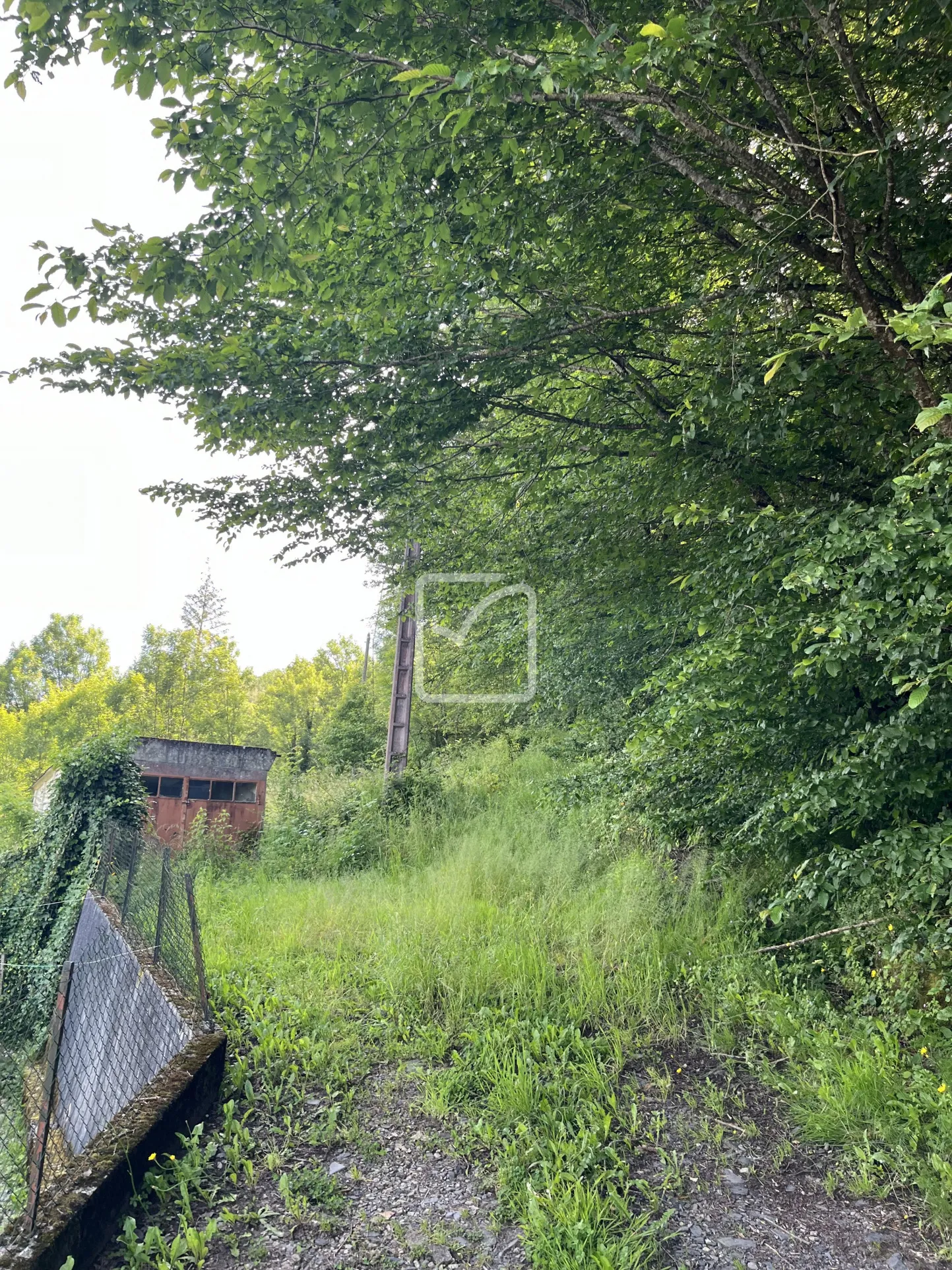 Vente de Bois à Objat - 1,3 hectare en Zone Naturelle 