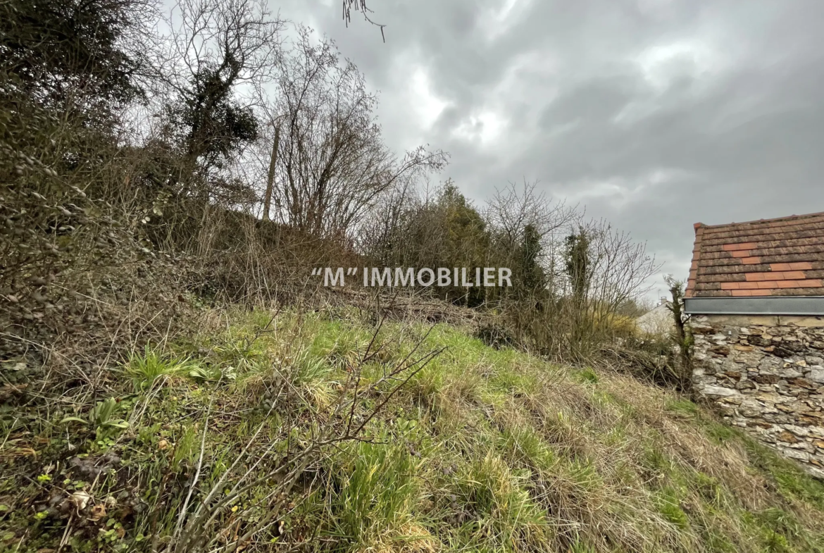 Maison en pierre à vendre à 5mn de Château-Thierry avec jardin et 4 chambres 