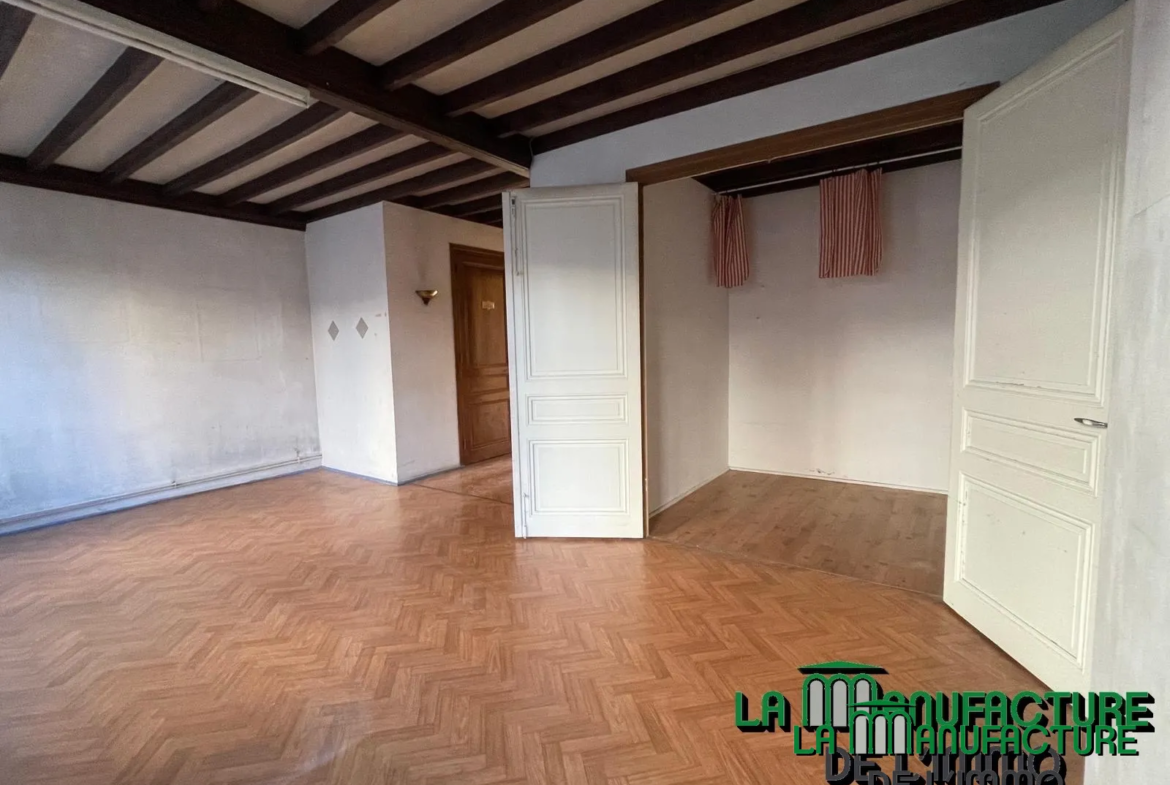 Appartement 115,42 m² Carrez + 27,93 m² hors Carrez à rénover à St-Etienne 