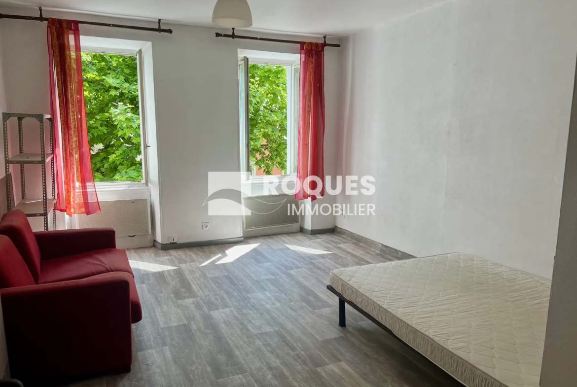 À vendre : Studio de 26 m² au centre-ville de Millau avec terrasse 