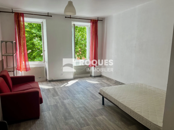 À vendre : Studio de 26 m² au centre-ville de Millau avec terrasse