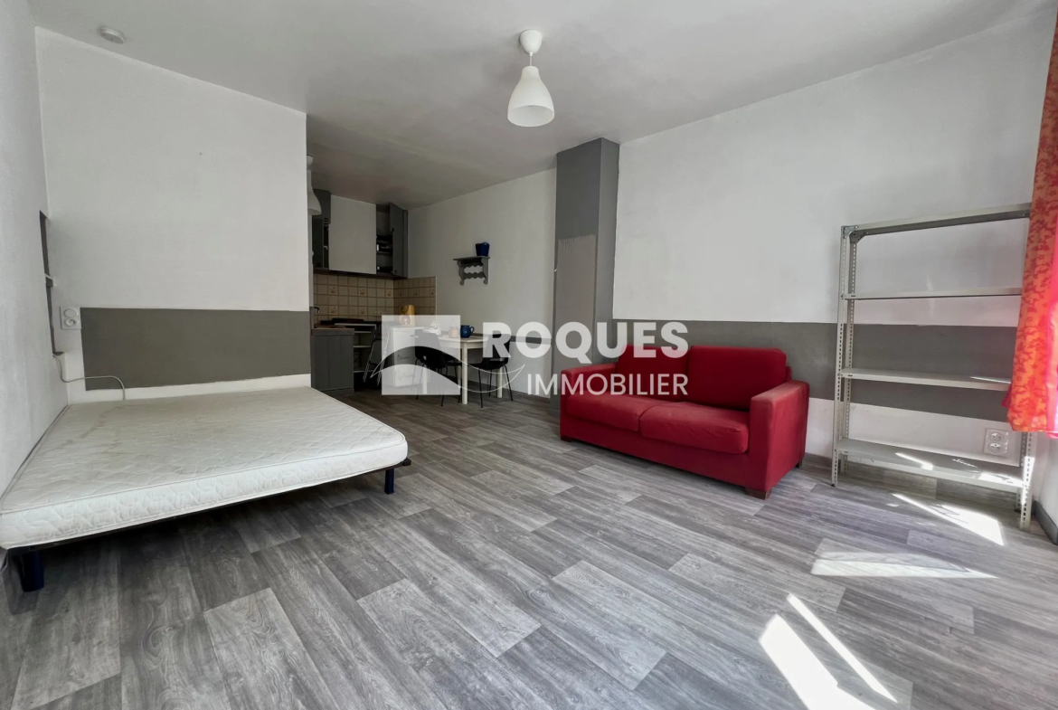 À vendre : Studio de 26 m² au centre-ville de Millau avec terrasse 